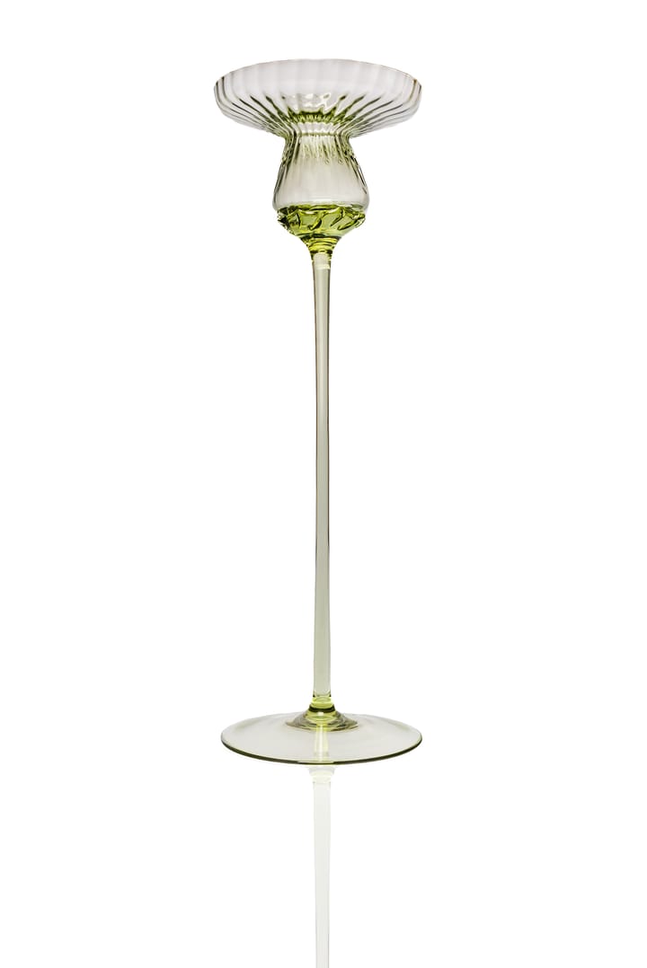 Tulipan lysestake 30 cm, Olivegreen Anna Von Lipa