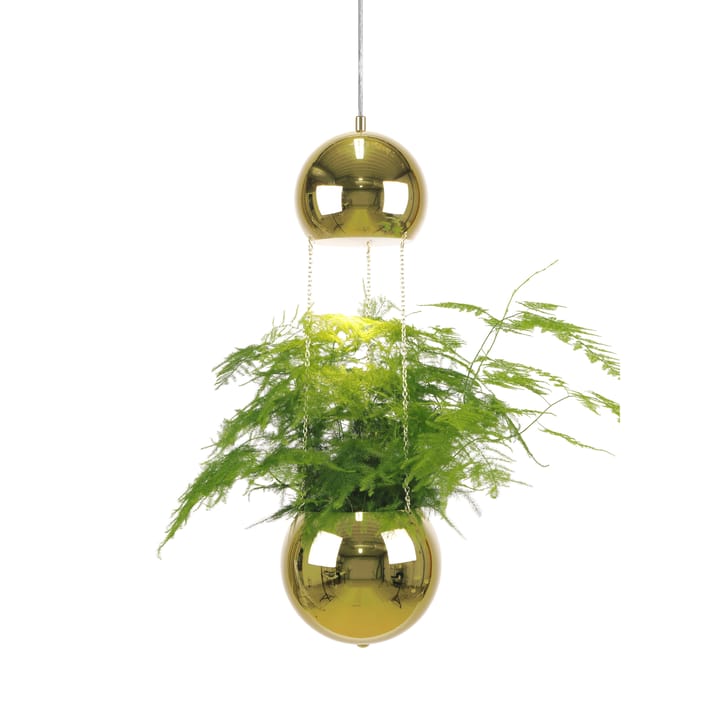 Planter taklampe og planteoppheng, messing Globen Lighting