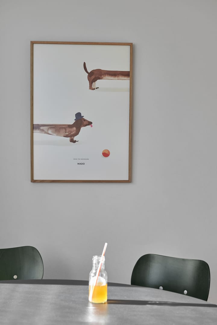 Doug the Dachshund poster, 50x70 cm Paper Collective