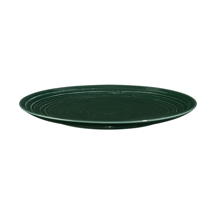Terra tallerken Ø 22,7 cm 6-pakning, Moss Green Seltmann Weiden