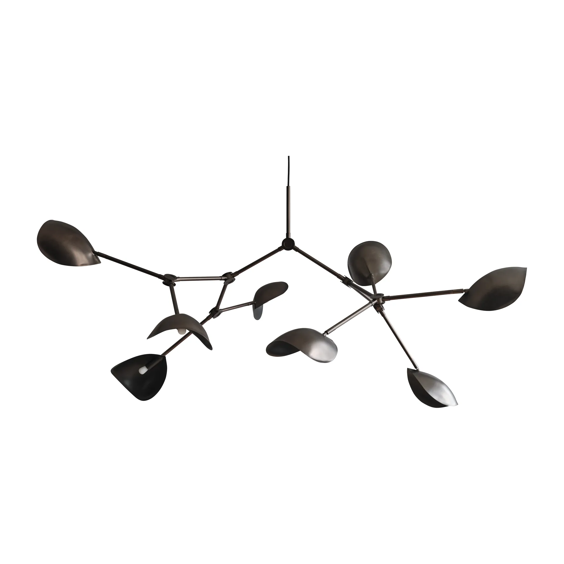 Stingray takkrone, Bronze 101 Copenhagen