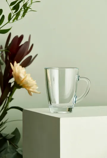 Café kaffeglass 30 cl - Klar - Aida