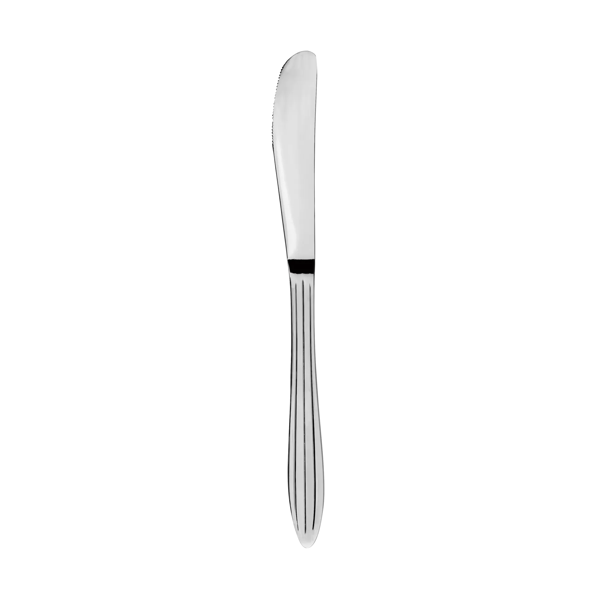 Gastro kniv, Rustfritt stål Aida
