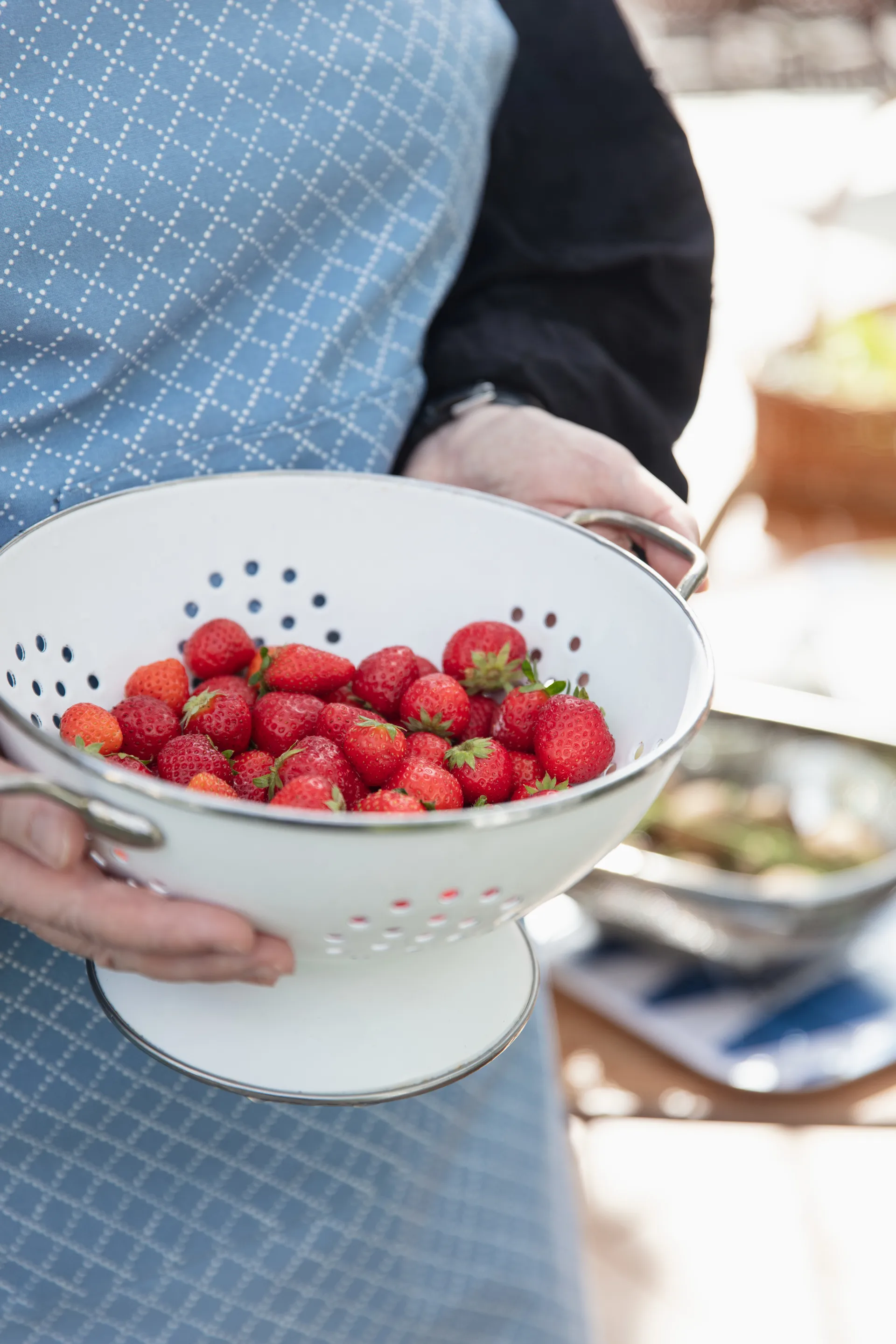 Prickruta forkle, Blå Almedahls