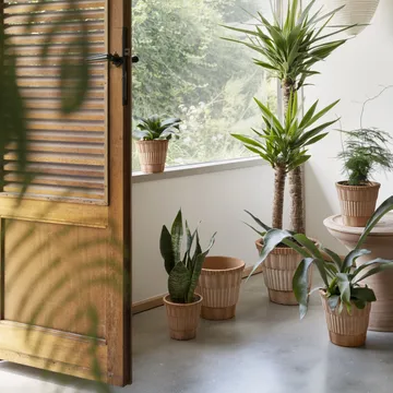 Atlas raw krukke med fat - Rosa, Ø21 cm - Bergs Potter