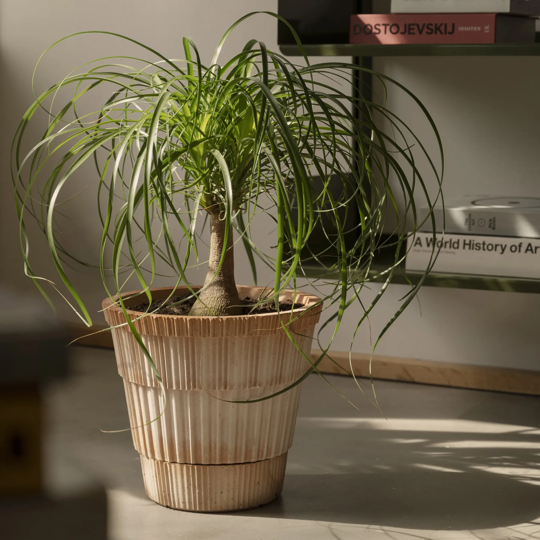 Atlas raw krukke med fat, Rosa, Ø25 cm Bergs Potter