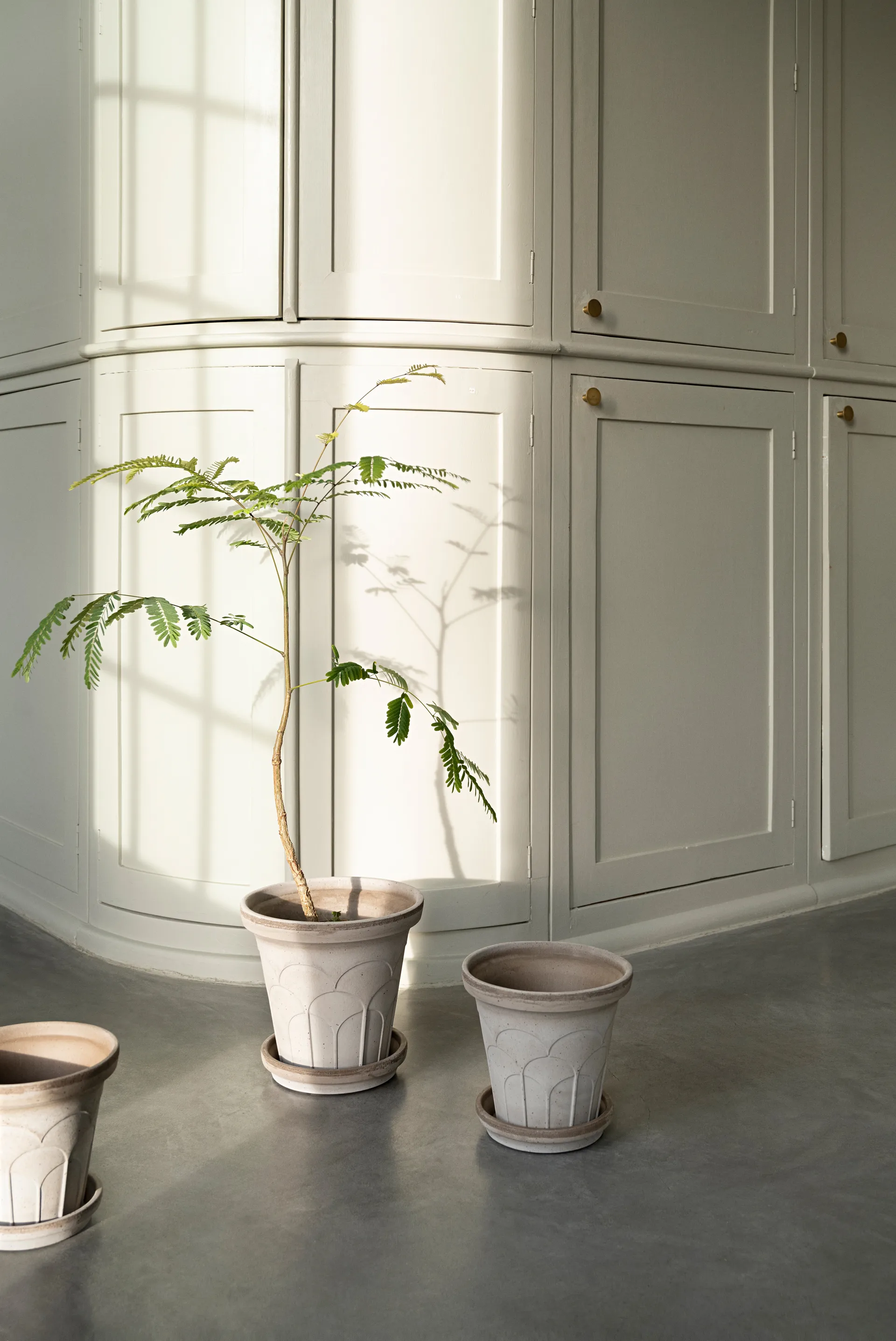 Fleur potte med fat 2 deler, Grey, Ø16 cm Bergs Potter