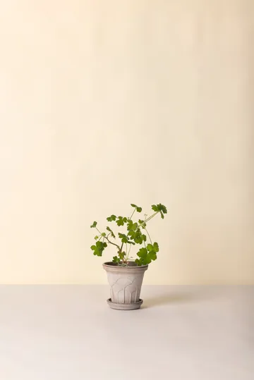 Fleur potte med fat 2 deler - Grey, Ø16 cm - Bergs Potter