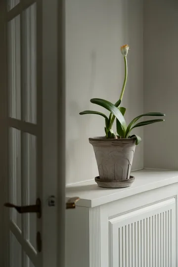 Fleur potte med fat 2 deler - Grey, Ø18 cm - Bergs Potter