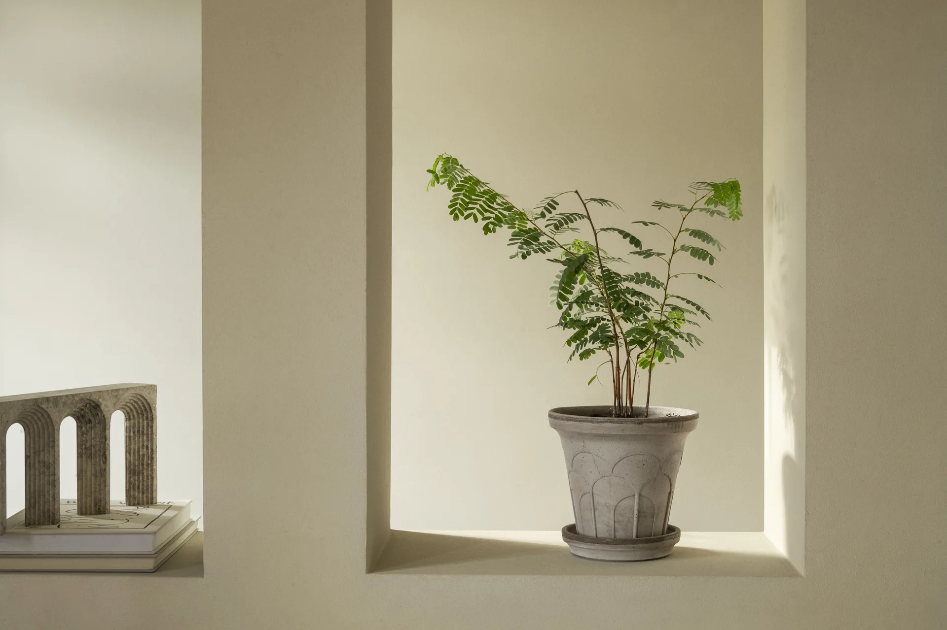 Fleur potte med fat 2 deler, Grey, Ø21 cm Bergs Potter