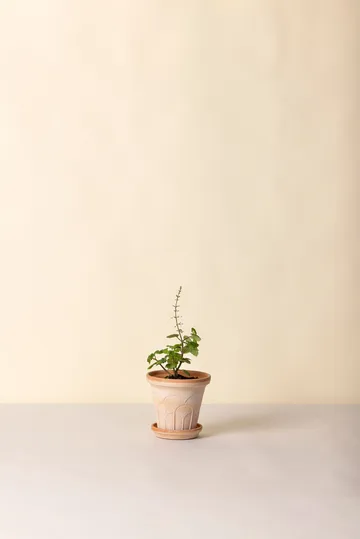 Fleur potte med fat 2 deler - Rosa, Ø14 m - Bergs Potter