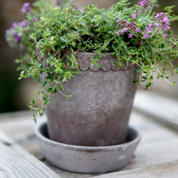 Helena krukke Ø10 cm - Grå - Bergs Potter