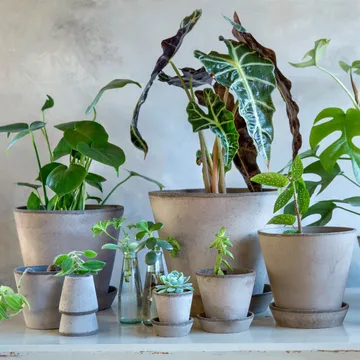 Julie krukke Ø21 cm - Grå - Bergs Potter