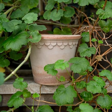 København krukke Ø16 cm - Rosa - Bergs Potter