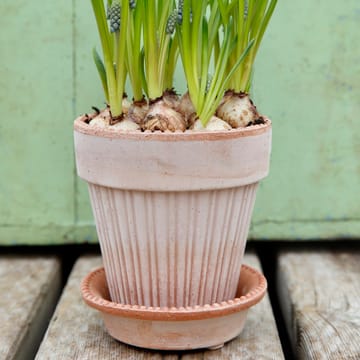 Simona krukke 14 cm - Rosa - Bergs Potter