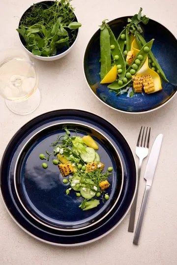 Bitz bolle gastro Ø12 cm - Hvit-mørk blå - Bitz