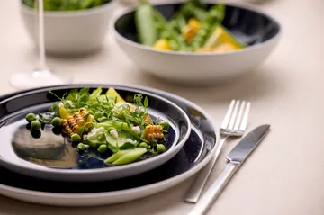 Bitz tallerken gastro Ø 21 cm - Hvit-mørkblå - Bitz