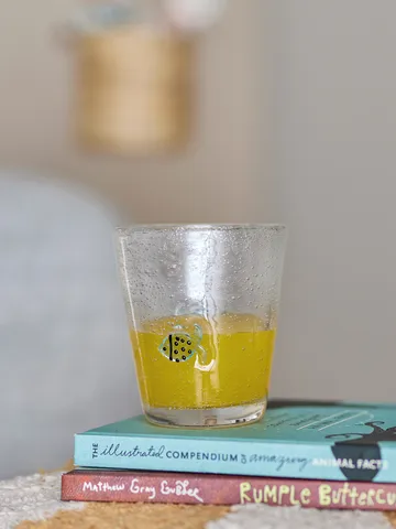 Finney drikkeglass 31 cl - Klar - Bloomingville