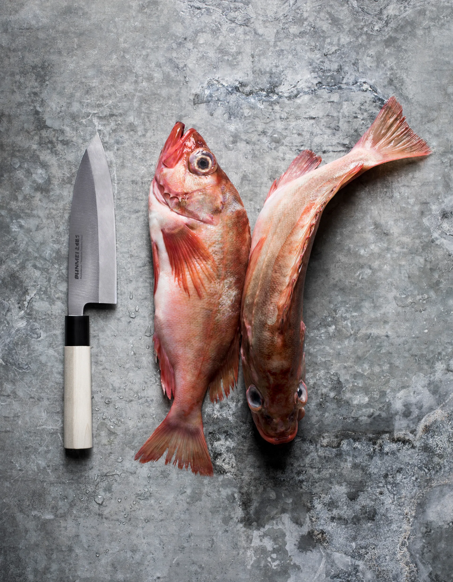 Bunmei debakniv enkelslipt 16,5 cm, Rustfritt stål Bunmei