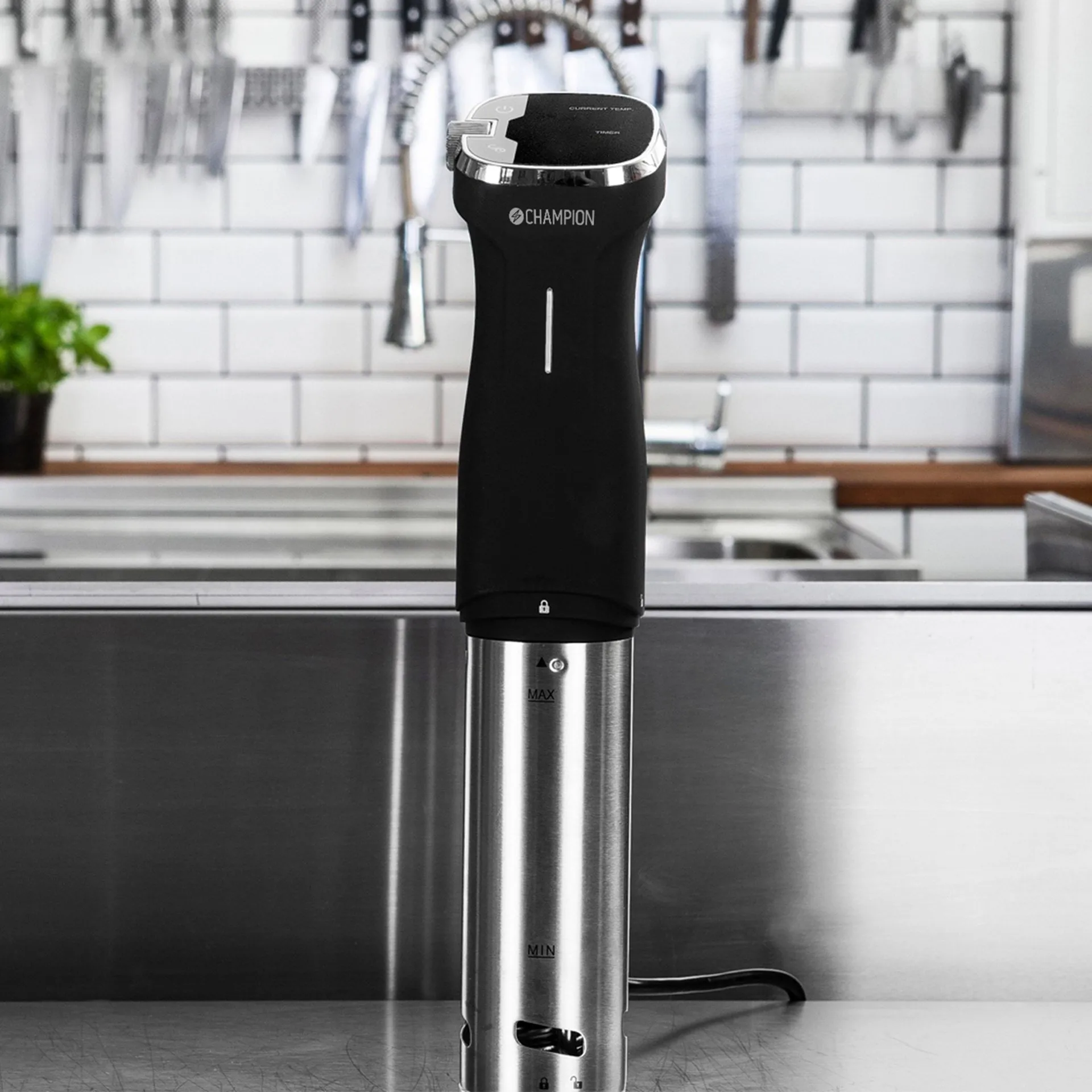 Champion Precision sous vide, Rustfritt stål-svart Champion