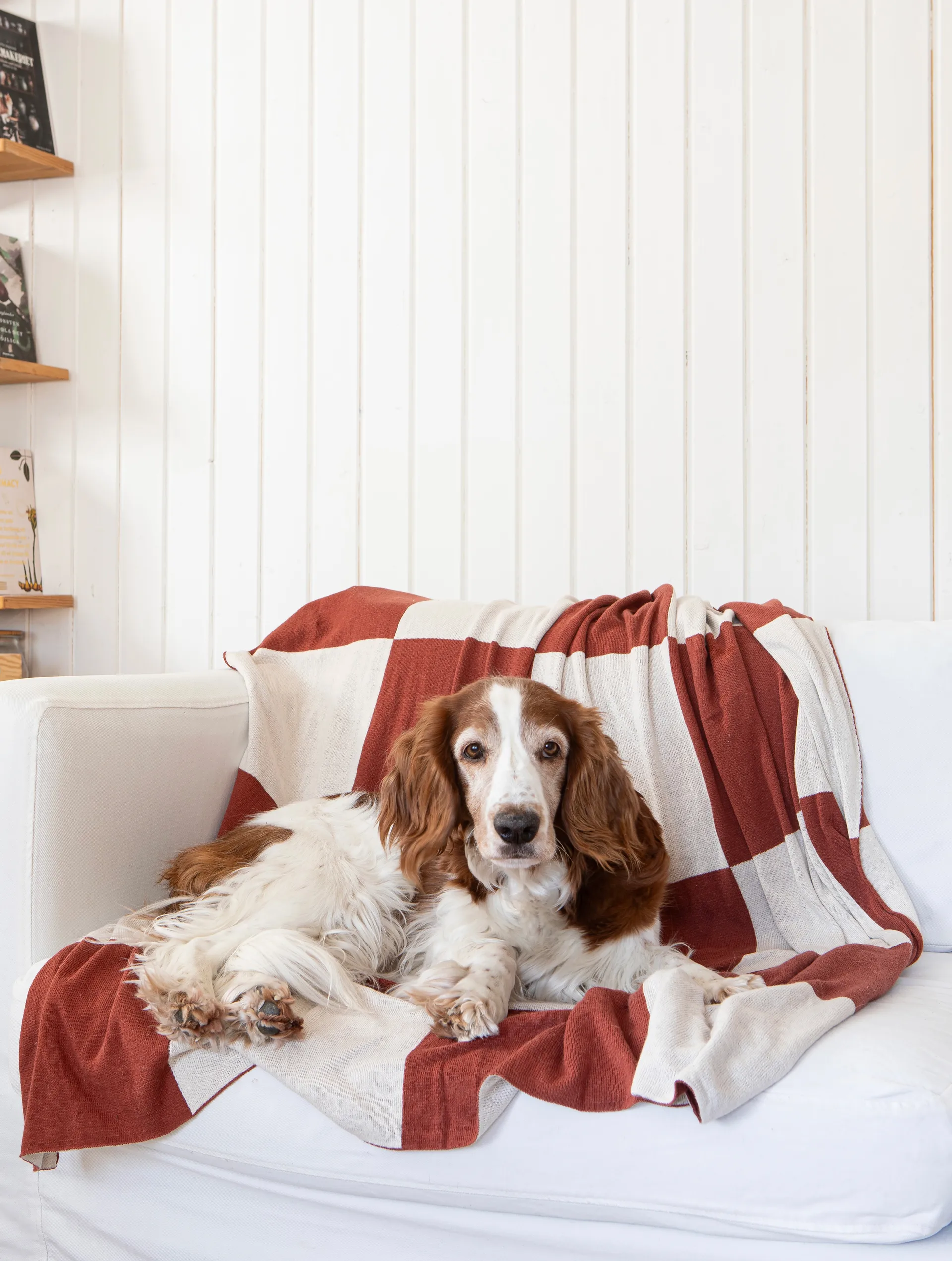 Square pledd 130x170 cm, Mørk Brown Classic Collection