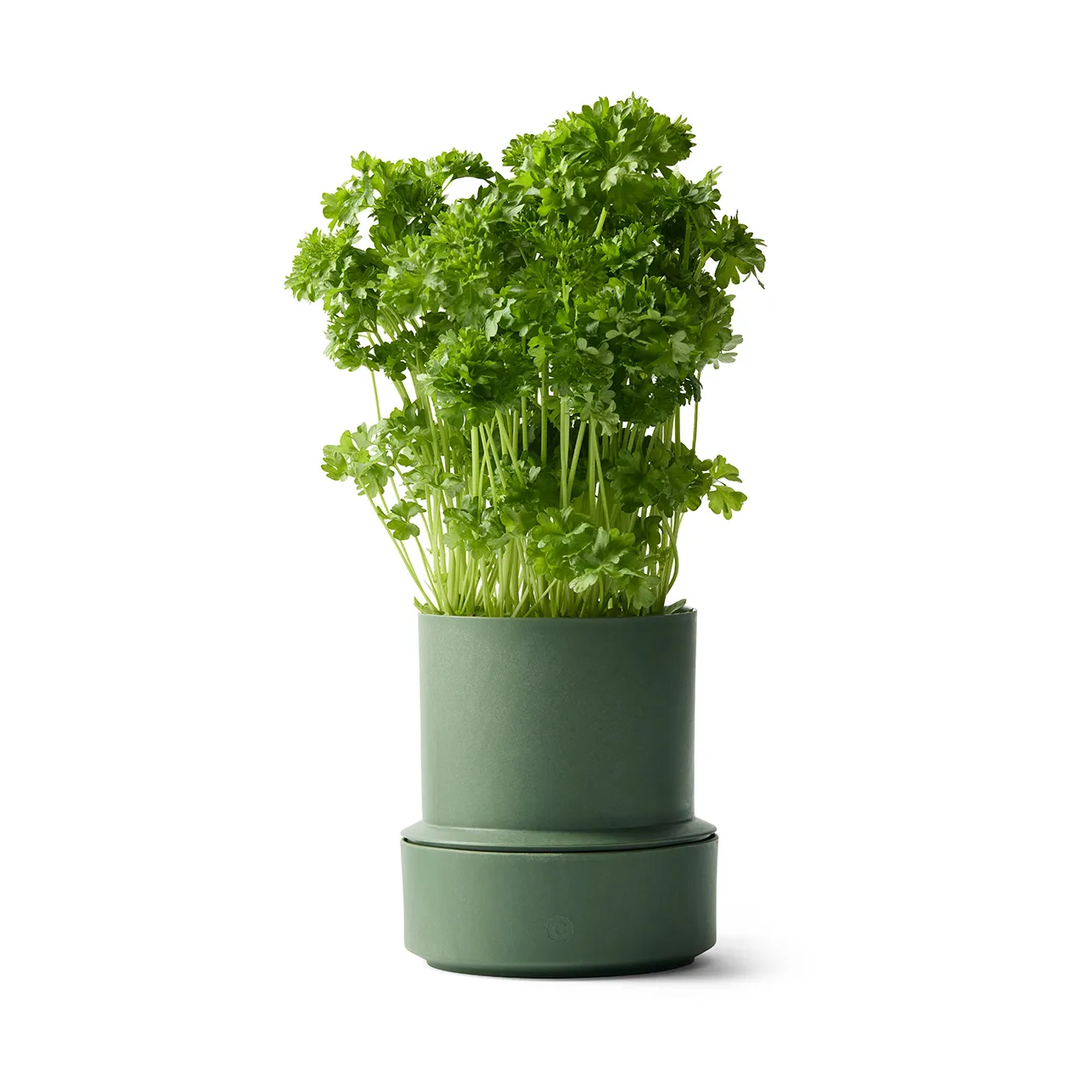 Billund selvvannende urtepotte, Parsley Crushgrind