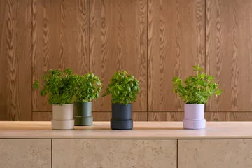 Billund selvvannende urtepotte - Parsley - Crushgrind