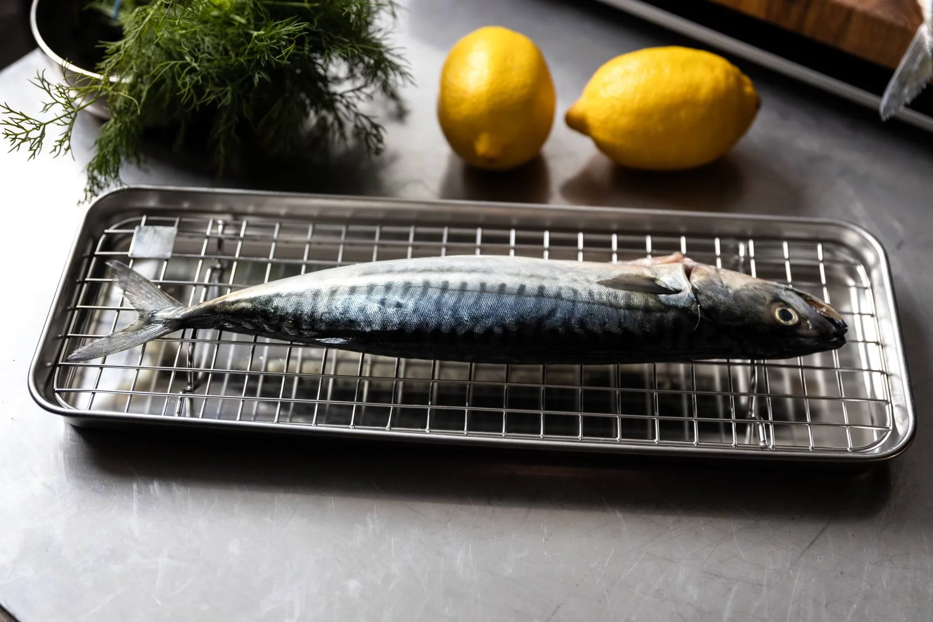 Culimat gastroplate med avkjølingsrist, Rustfritt stål, 38x14x2,5 cm Culimat