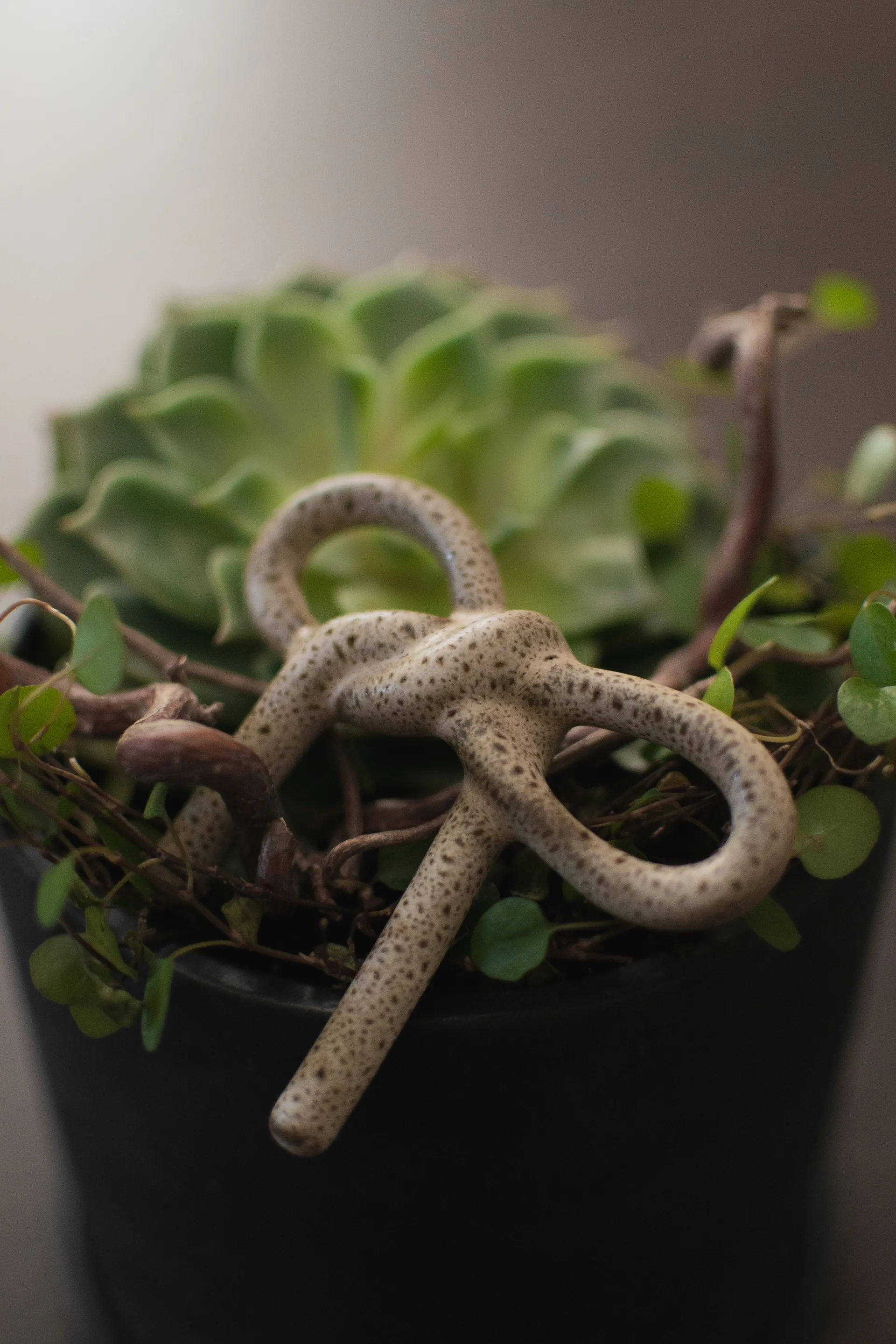 Bow blomsterdekorasjon, Beige DBKD