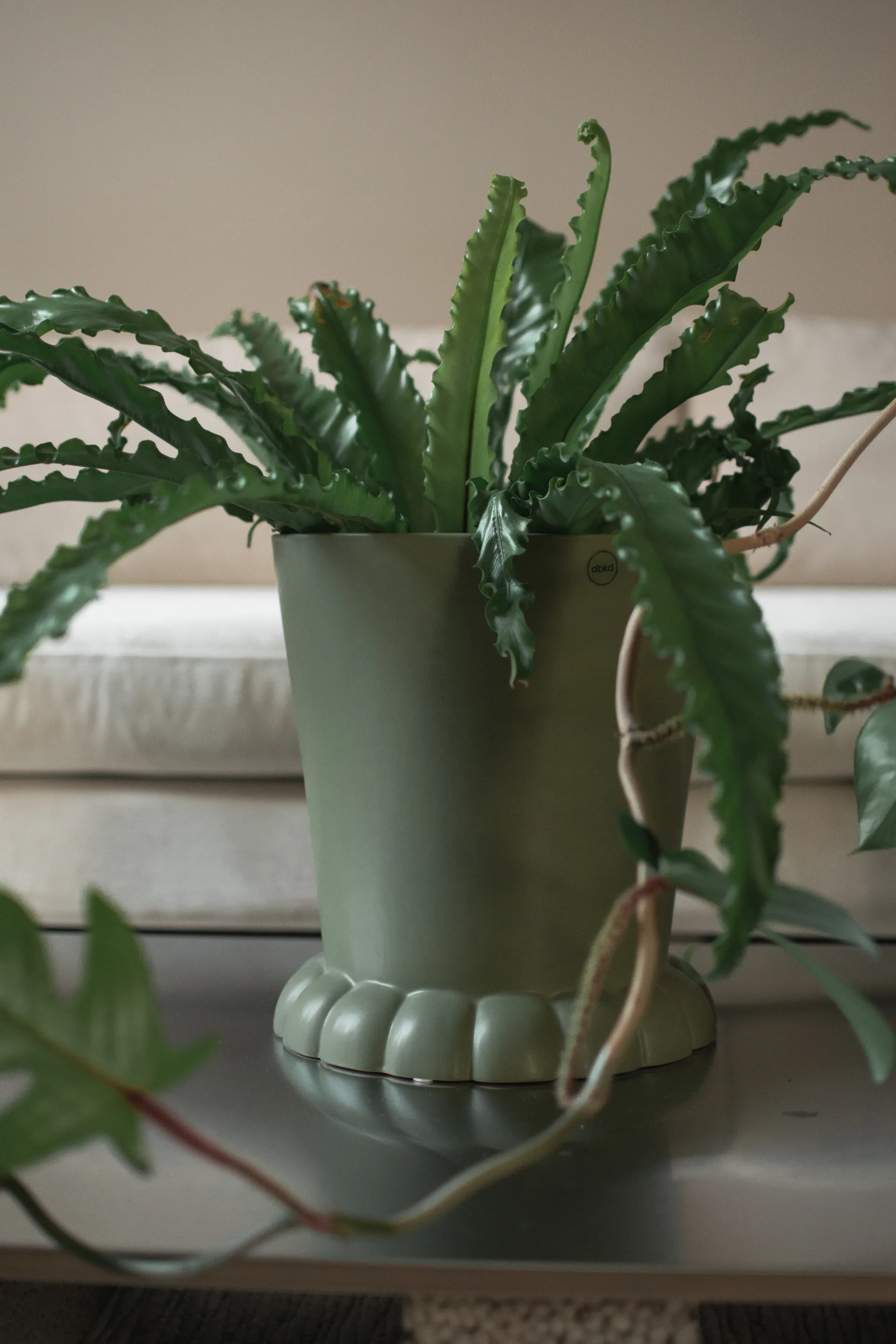 Flora krukke Ø25 cm, Green DBKD