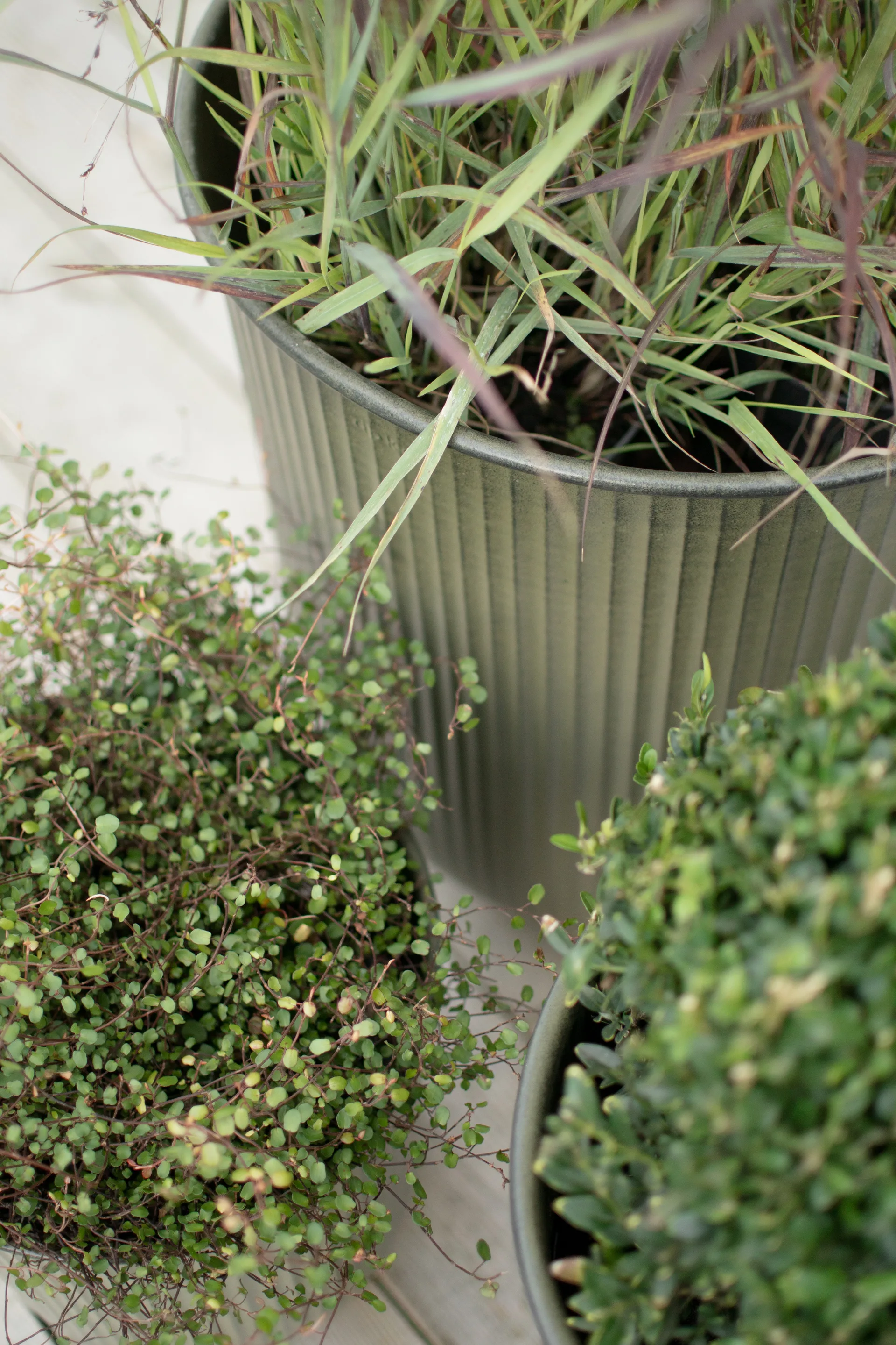 Out stripe krukke 3 deler, Green DBKD