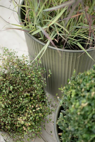 Out stripe krukke 3 deler - Green - DBKD