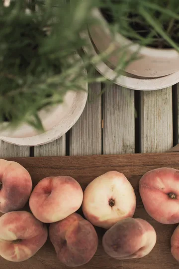 Terra krukke - Sand, Ø16x16 cm - DBKD