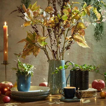 Studio Grey coupe tallerken 26 cm - Granite - Denby