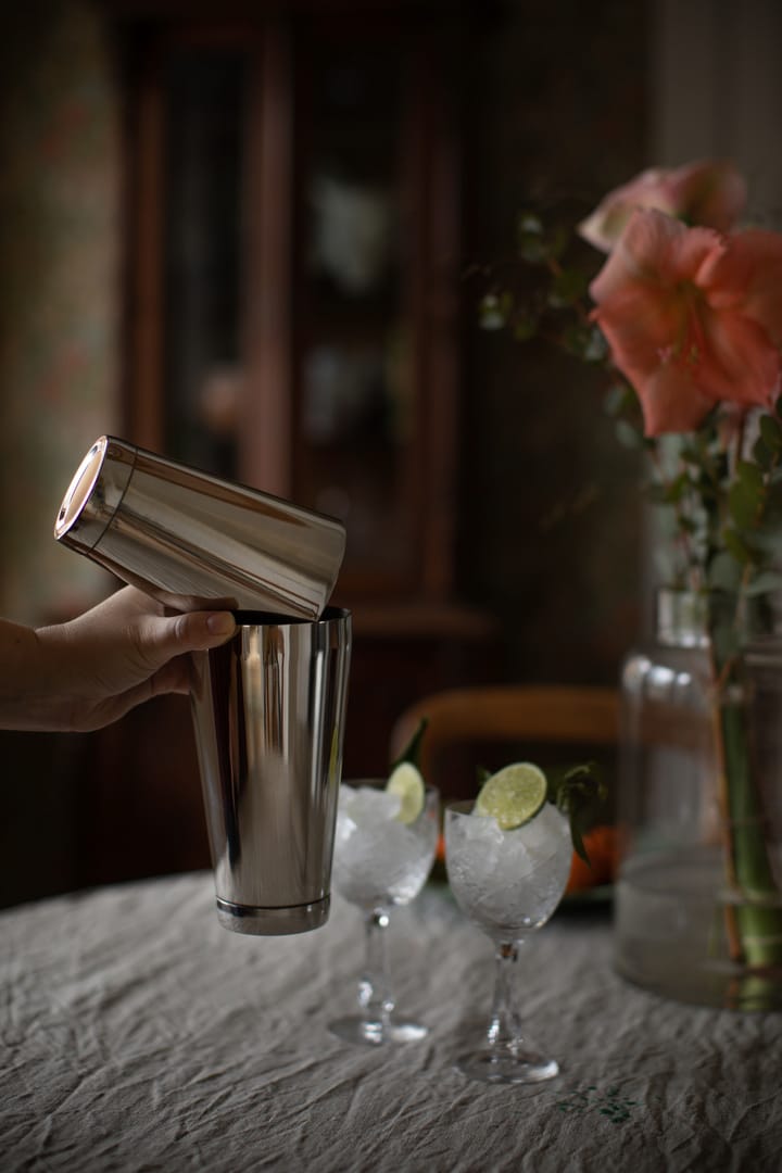 Bora Boston shaker, Rustfritt stål Dorre