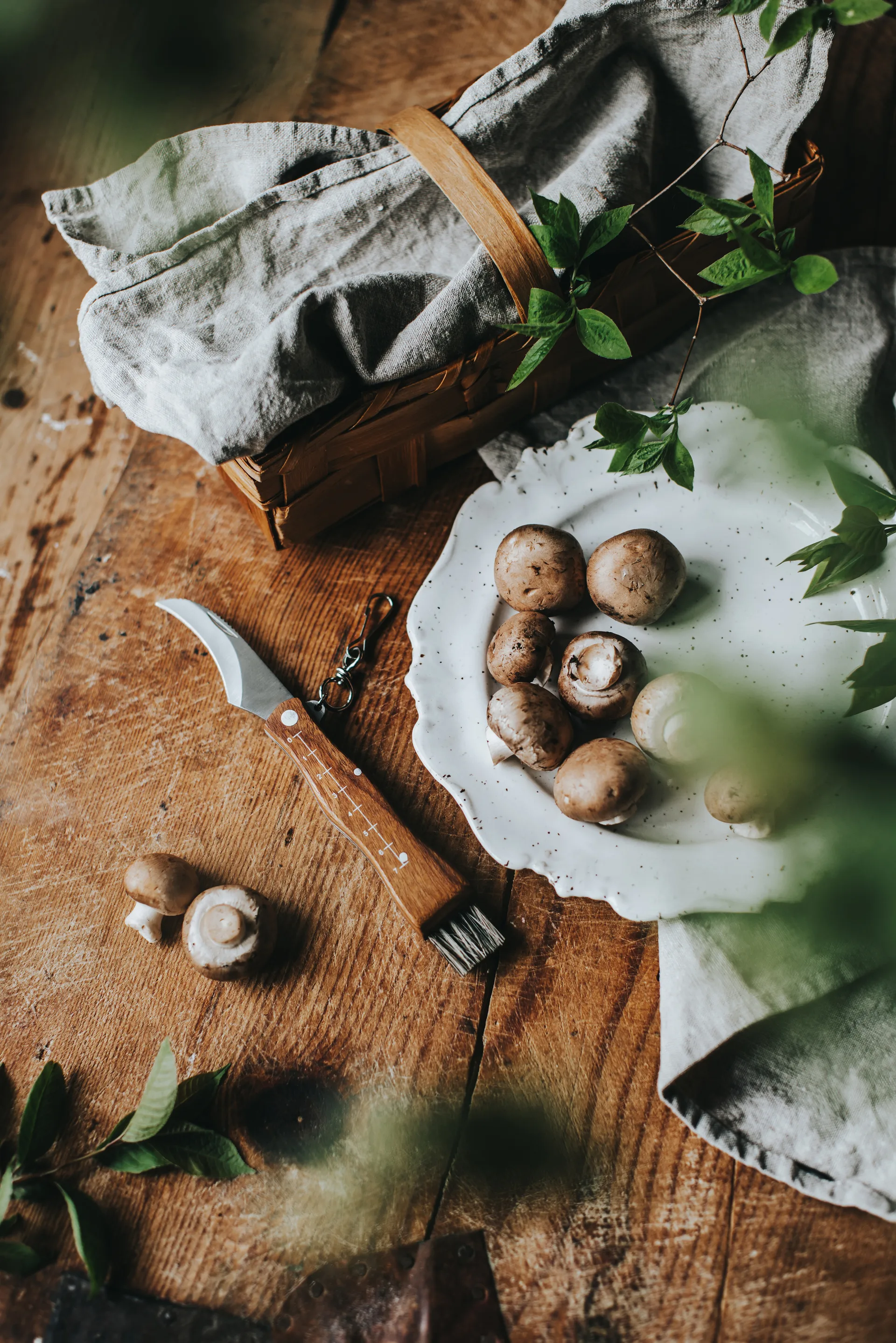 Stuti soppkniv brunt trehåndtak med børste 13x2 cm, Rustfritt stål Dorre