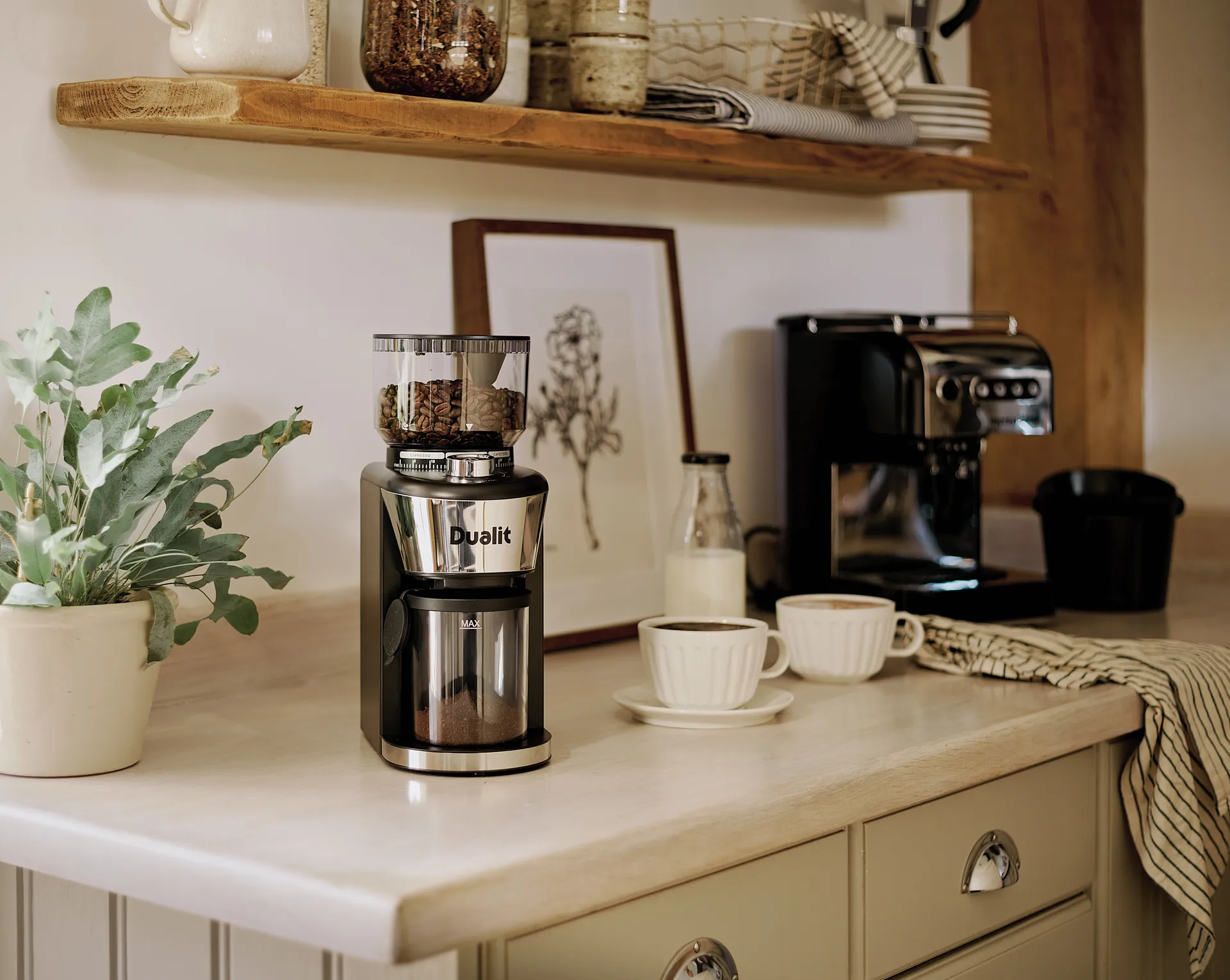 Dualit kaffekvern 31 cm, Svart Dualit