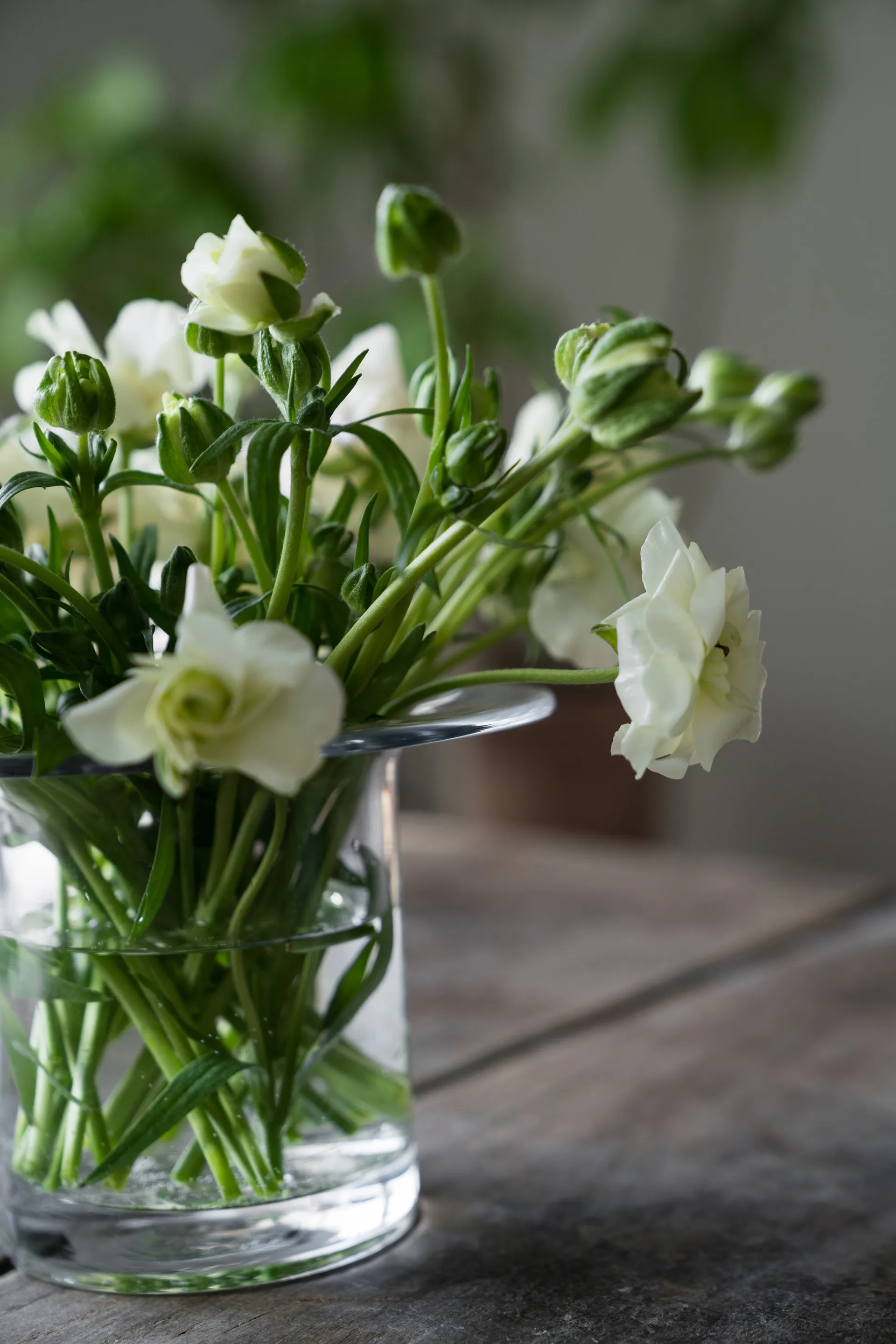 Ernst glassvase Ø17 cm, H 13 cm ERNST