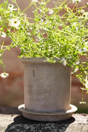 Ernst terrakottapotte med fat - Ø16x16 cm - ERNST