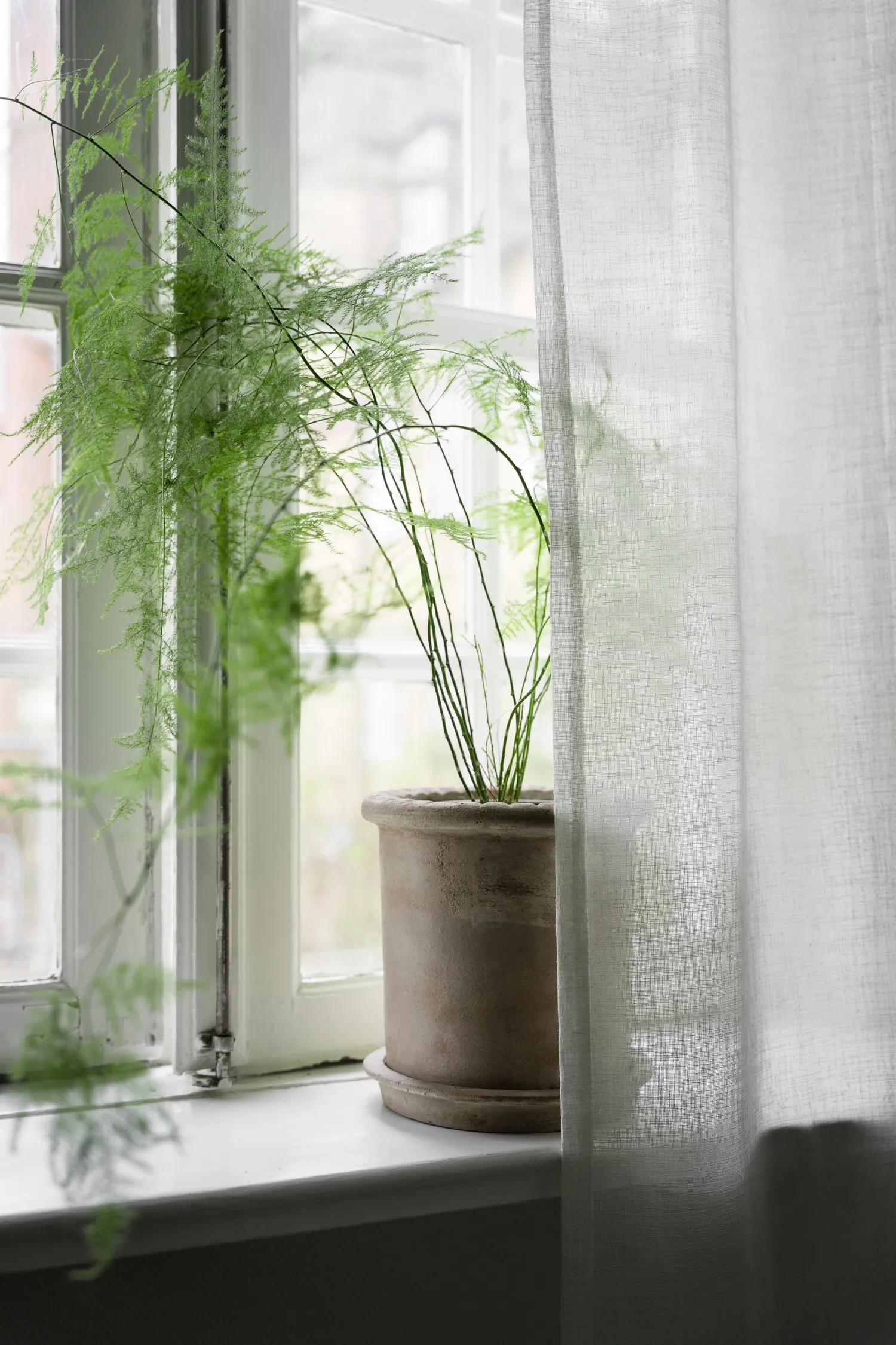 Ernst terrakottapotte med fat, Ø25x28 cm ERNST