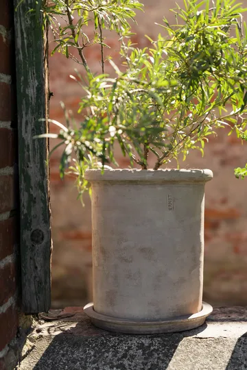 Ernst terrakottapotte med fat - Ø25x28 cm - ERNST