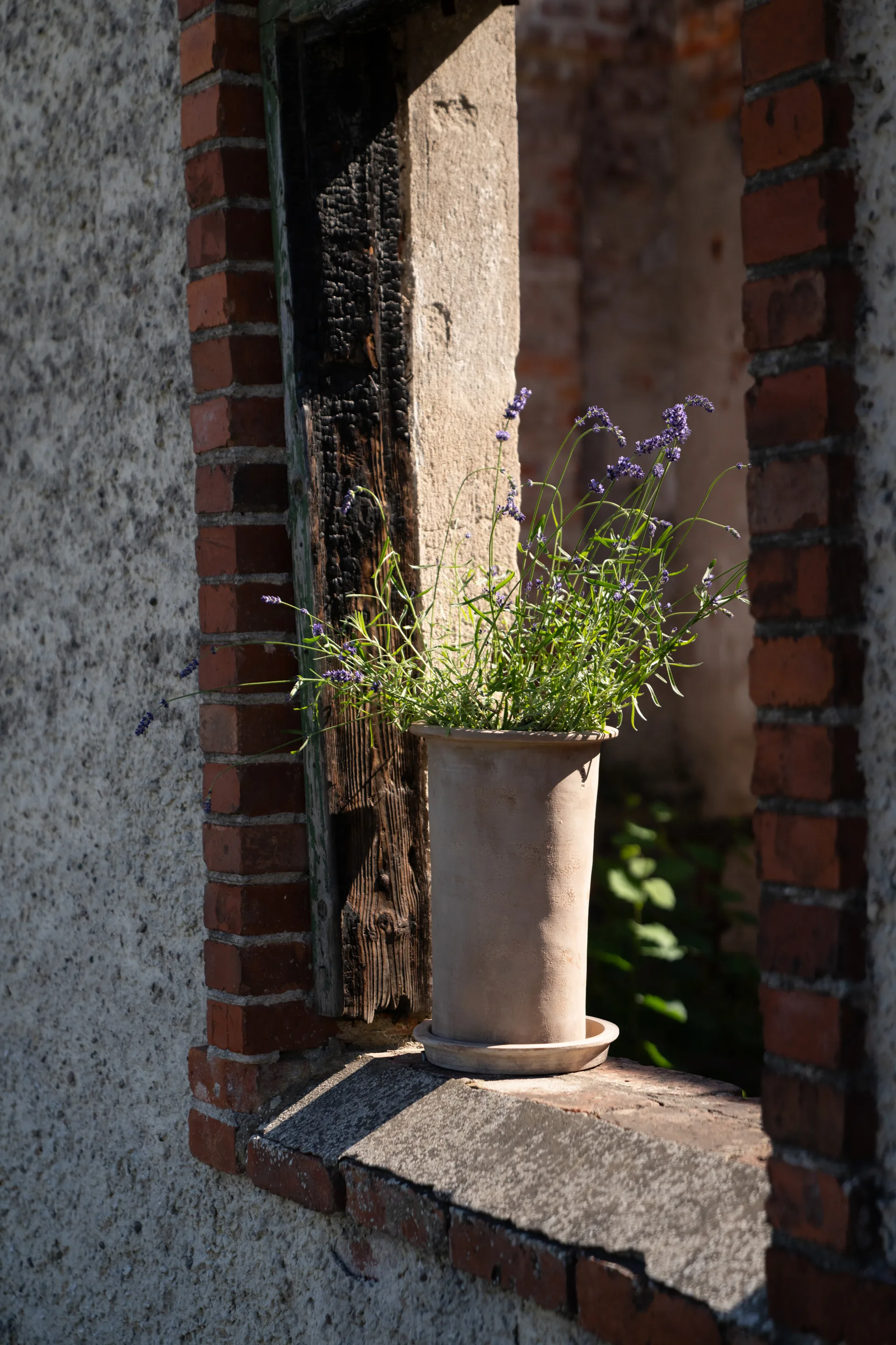 Ernst terrakottapotte med fat, Ø25x35 cm ERNST