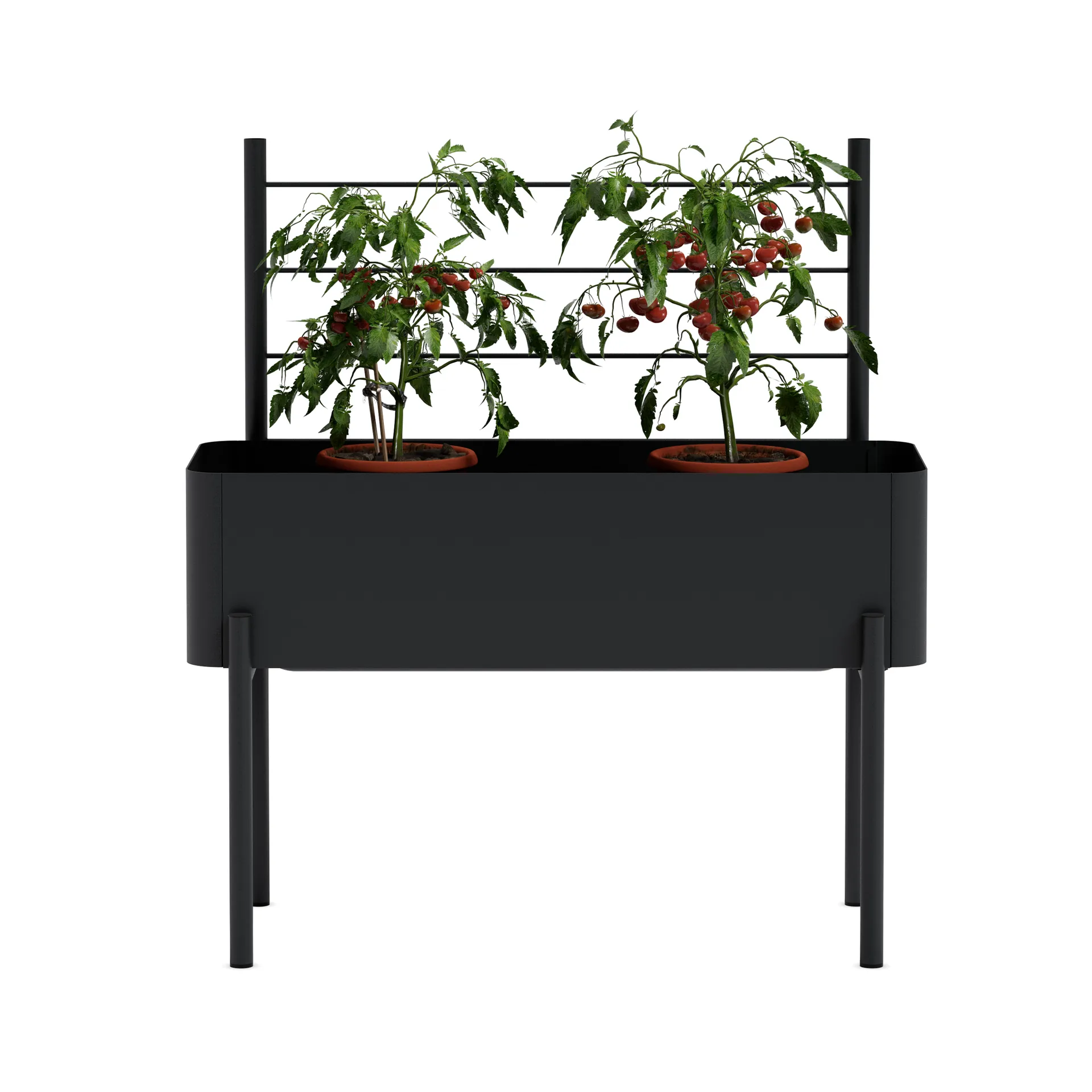 Simply Grow spaljé til dyrkingskasse, Black Eva Solo