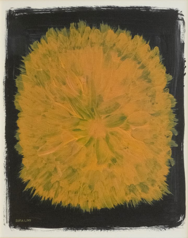 Dandelion plakat 40 x 50 cm, Gul-sort Fine Little Day