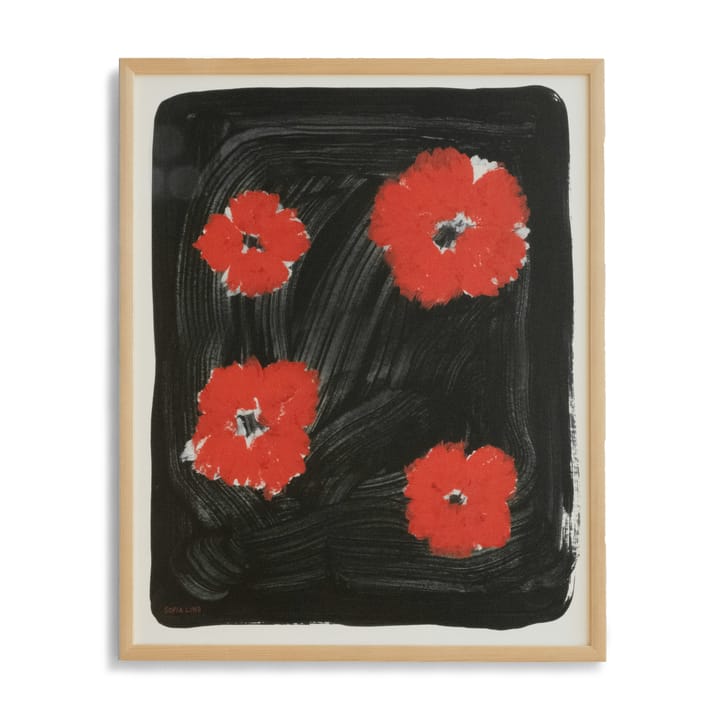 Scarlet pimpernel plakat 40 x 50 cm, Rød-sort Fine Little Day