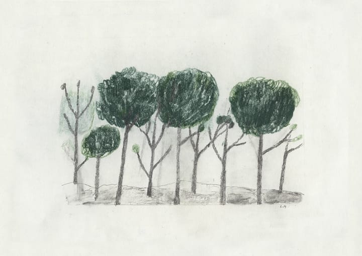 Trees plakat 50 x 70 cm, Sort-offwhite Fine Little Day