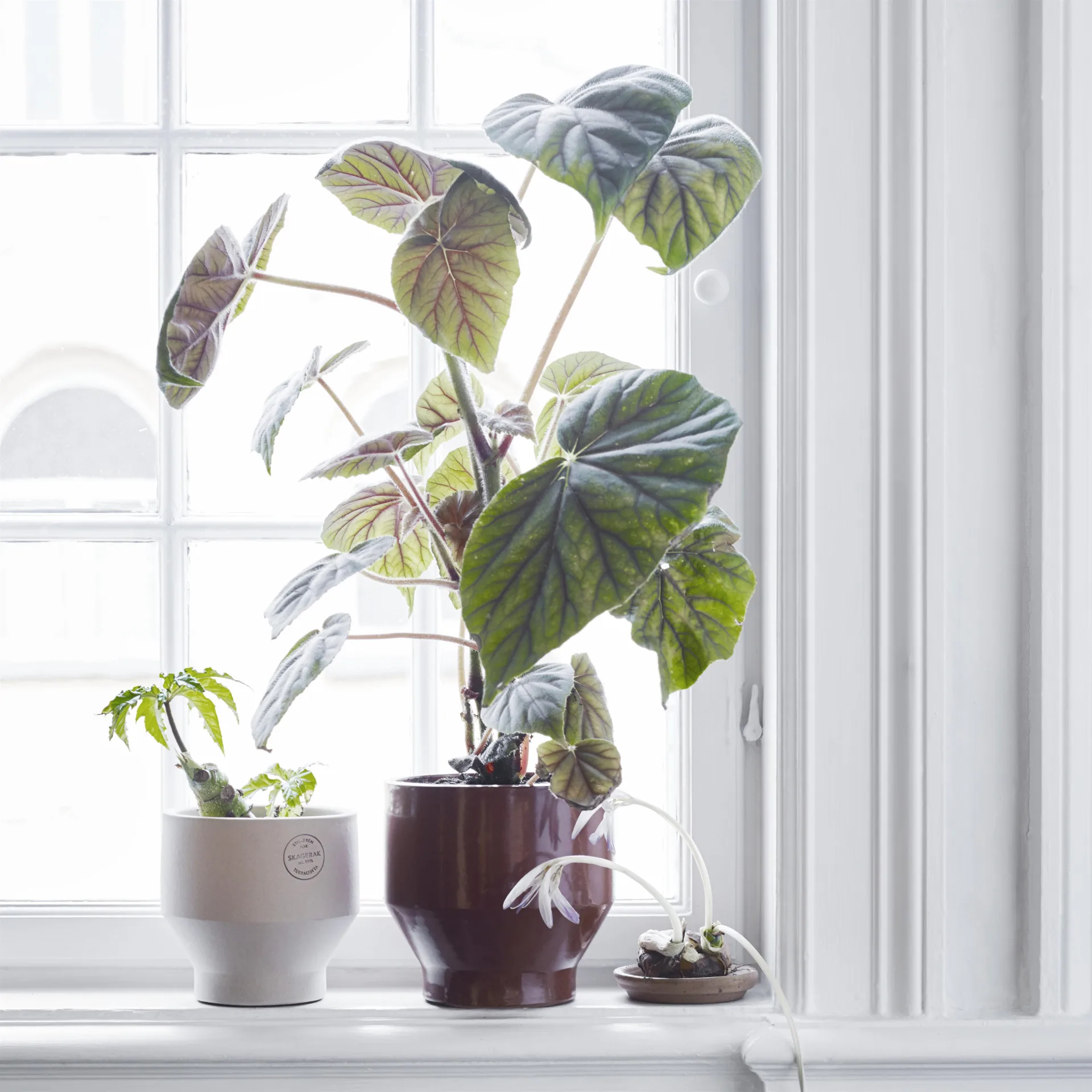 Edge blomsterpotte (innendørs) Ø18 cm, burned red (rød) Fritz Hansen