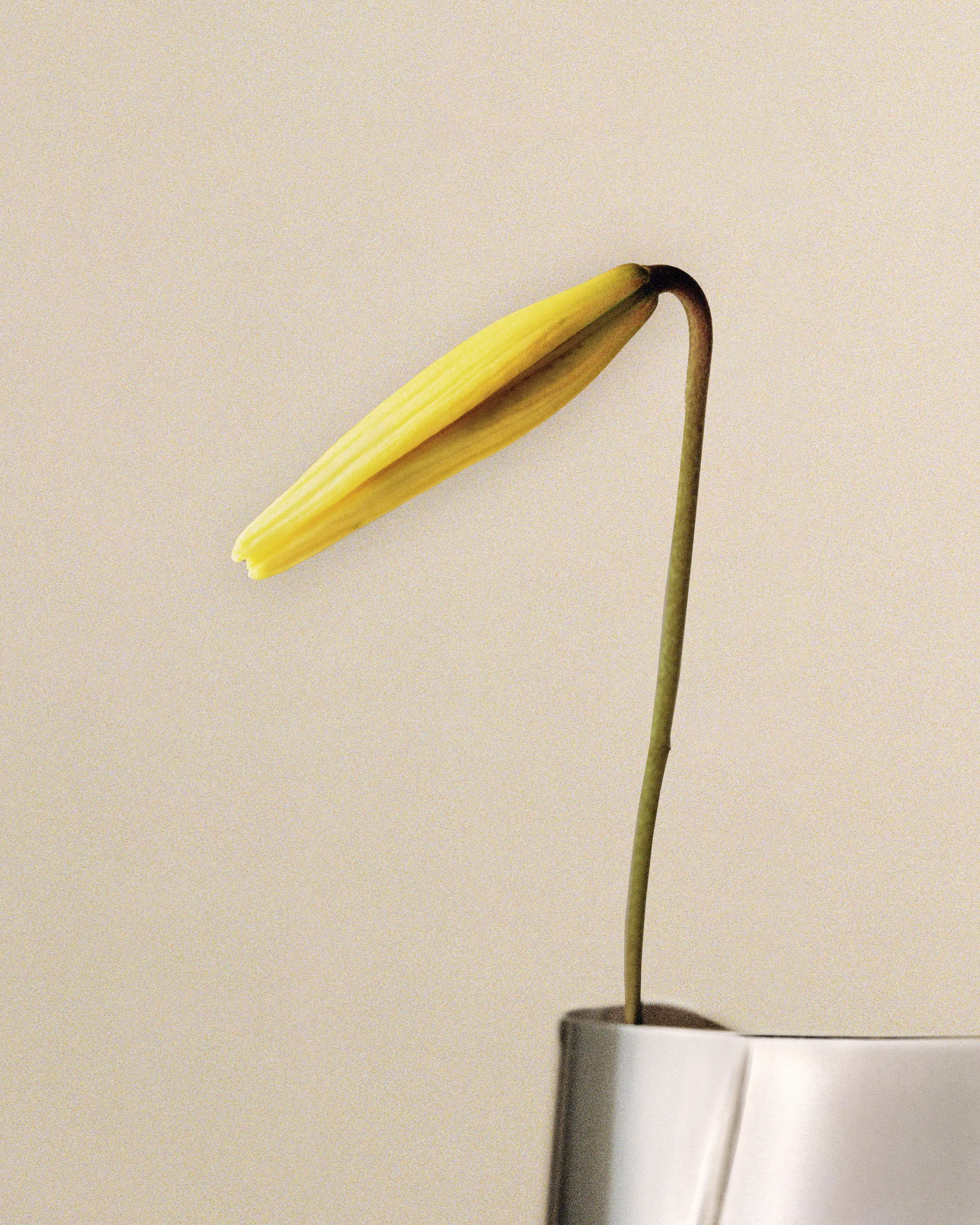 Lituus vase large 34,2 cm, Rustfritt stål Georg Jensen