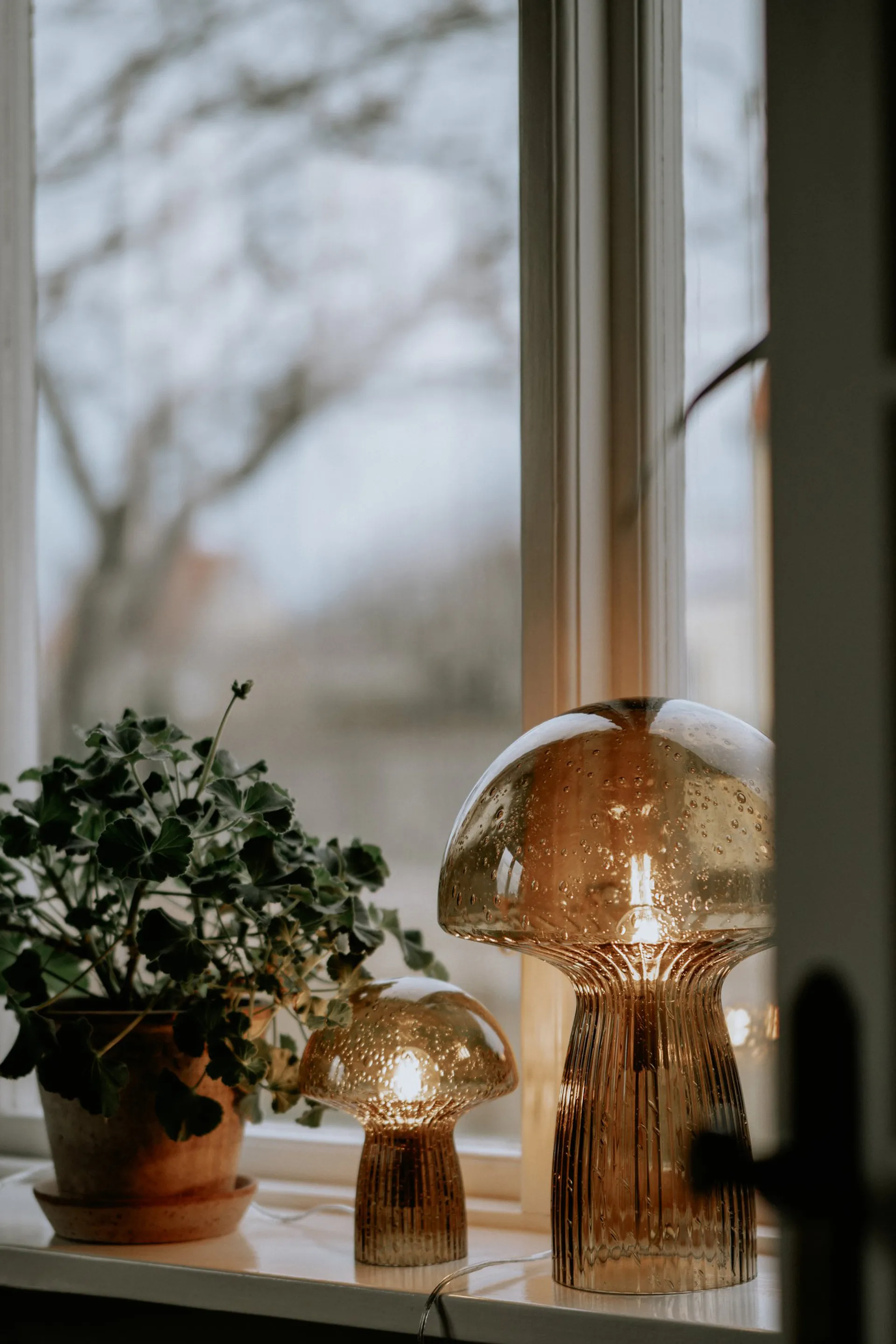 Fungo bordlampe Special Edition brun, 20 cm Globen Lighting
