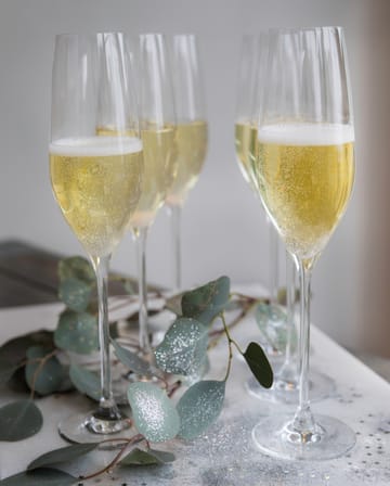 Cabernet champagneglass 29 cl 6-pakning - Klar
​
​ - Holmegaard